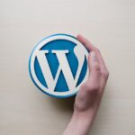 Wordpress 500 error